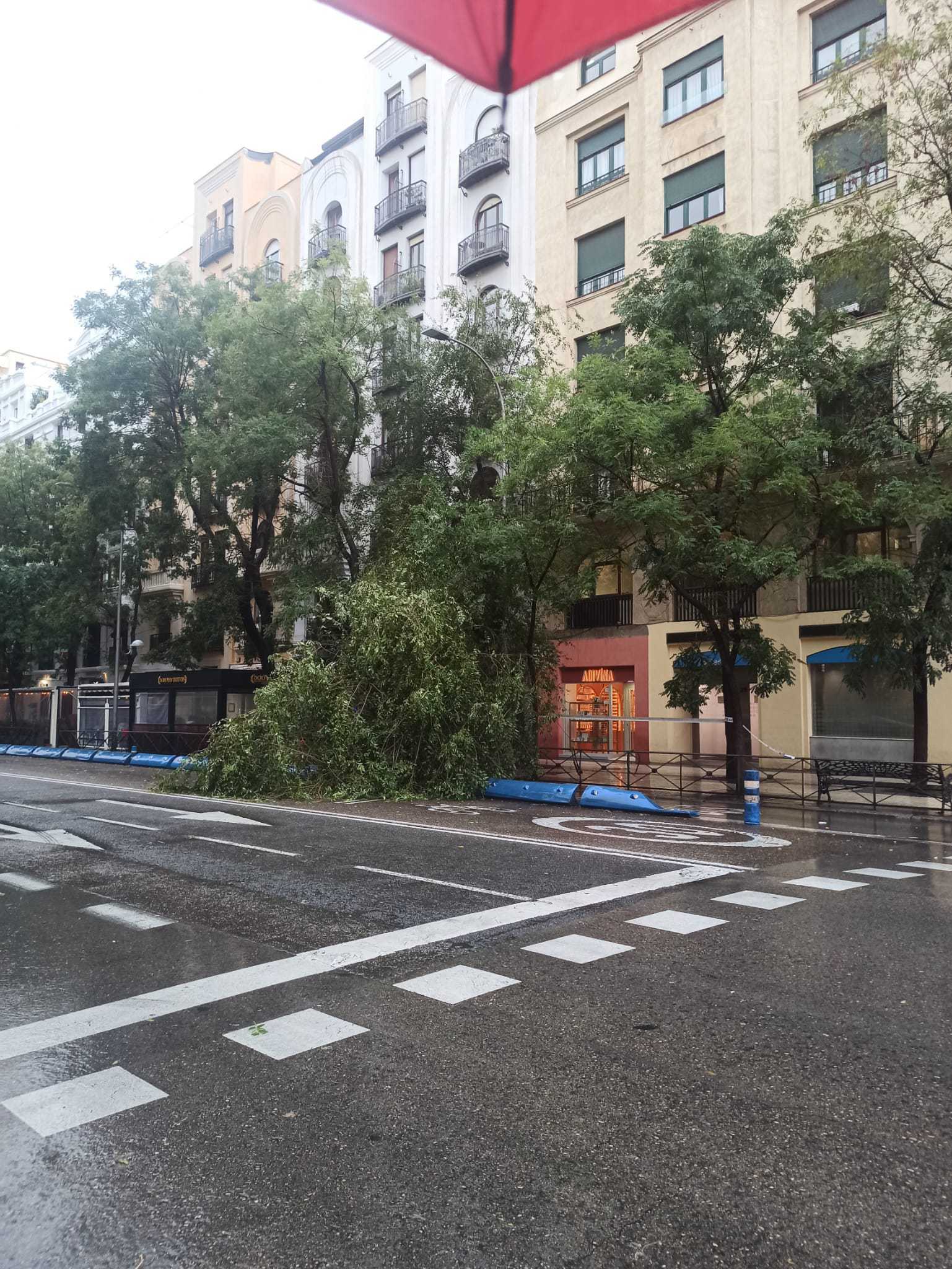 Alerta roja por lluvias en Madrid, en directo: cortes en carreteras, Cercanías, Metro y posibles inundaciones hoy