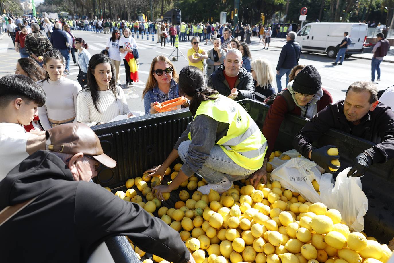 Directo | Sigue las protestas de los agricultores de este miércoles en Málaga
