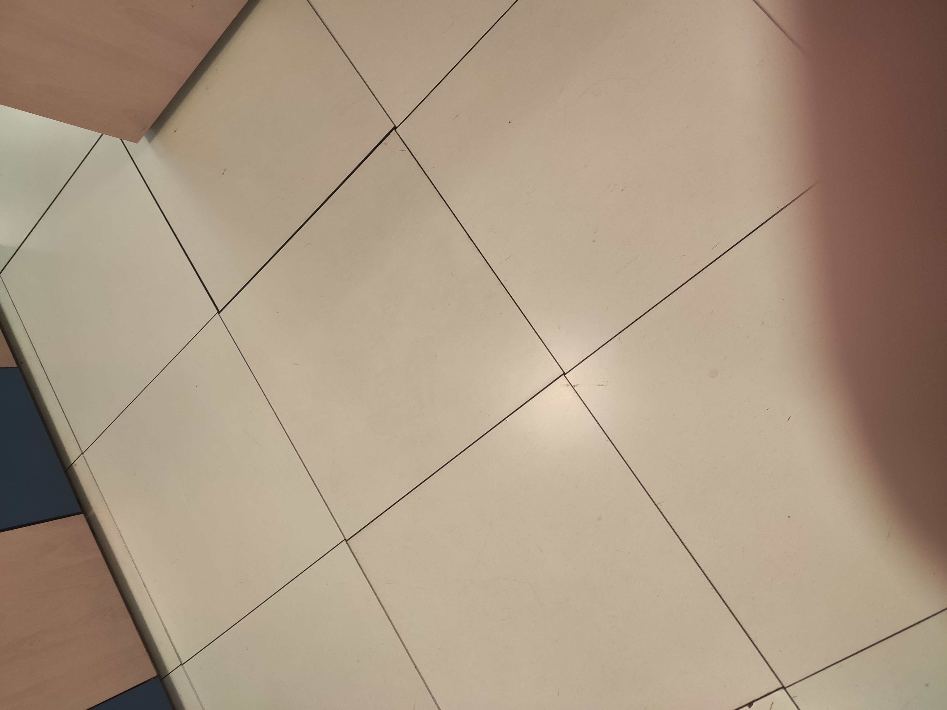 Brillante pregón y puesta de largo del cartel de la Cofradía de los Verdes de Alhaurín de la Torre