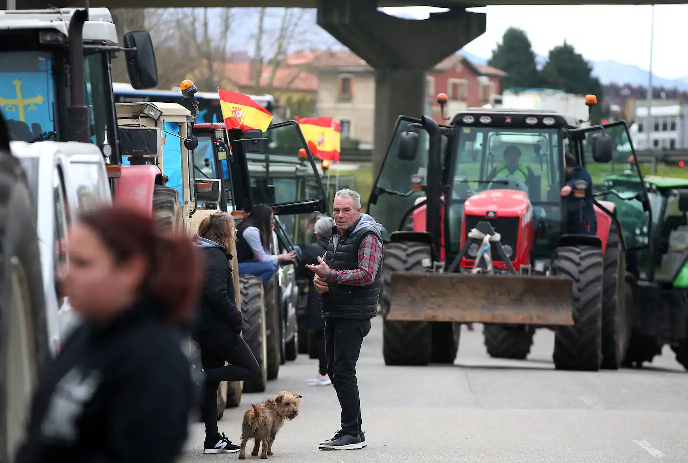La tractorada se planta en el centro de Oviedo a la espera de que les atienda el Principado