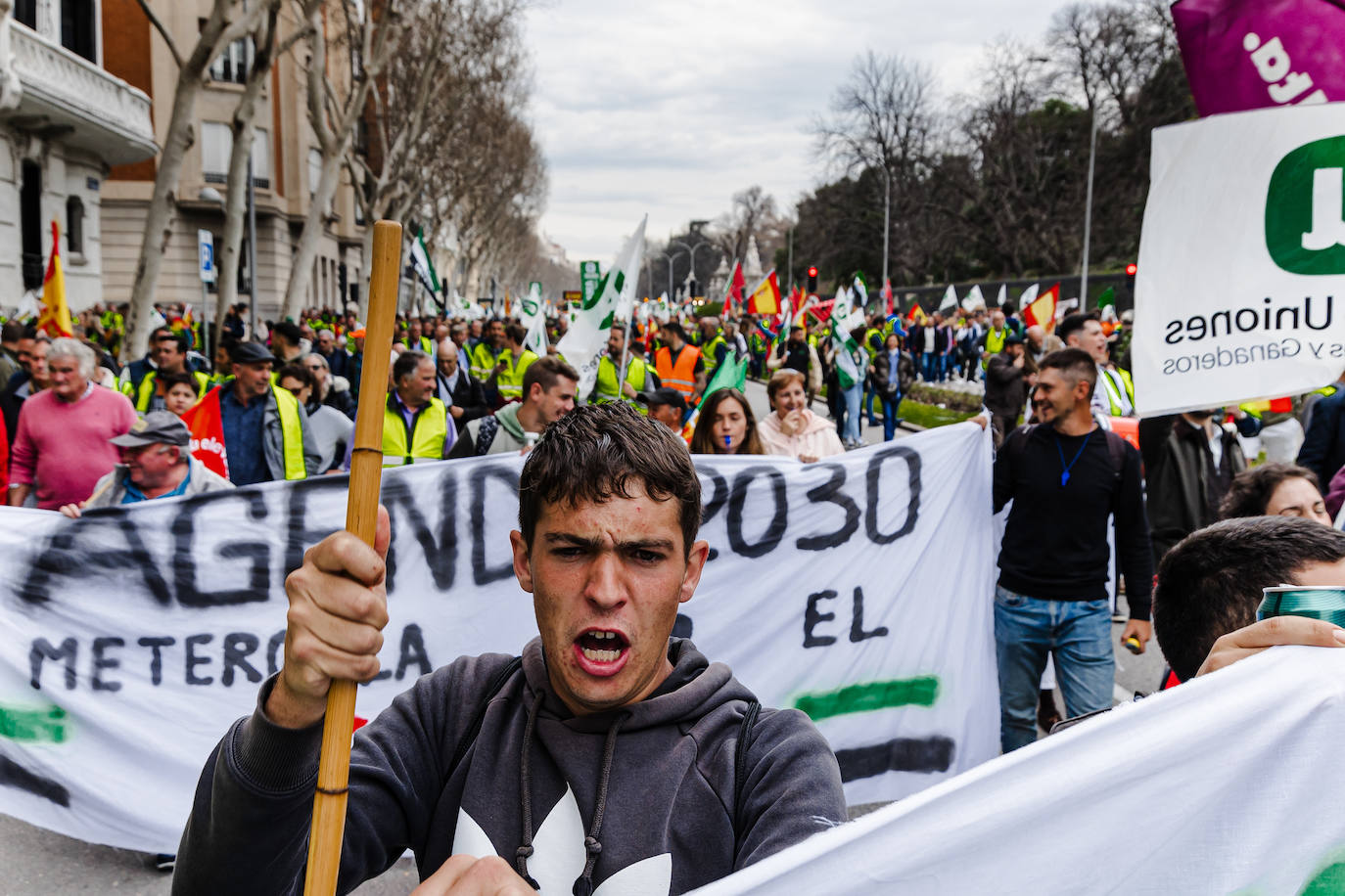 Así hemos contado la protesta de los agricultores en Madrid: más de 600 agricultores de Salamanca en la capital