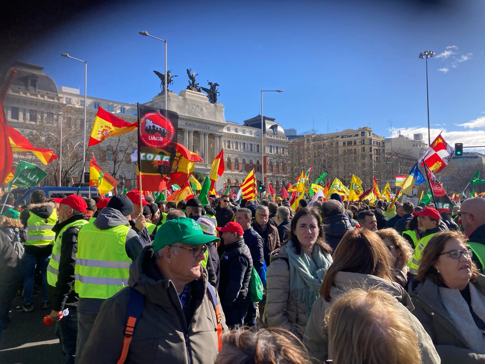 Así hemos contado la protesta de los agricultores en Madrid: más de 600 agricultores de Salamanca en la capital