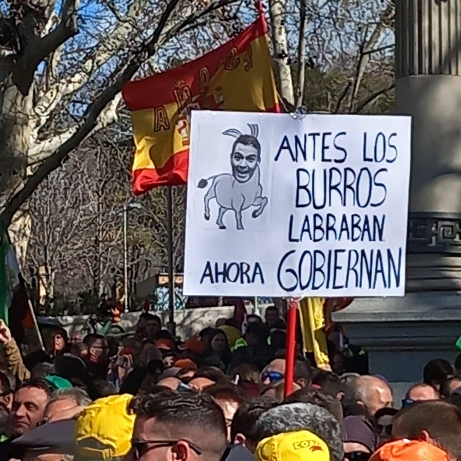 Así hemos contado la protesta de los agricultores en Madrid: más de 600 agricultores de Salamanca en la capital