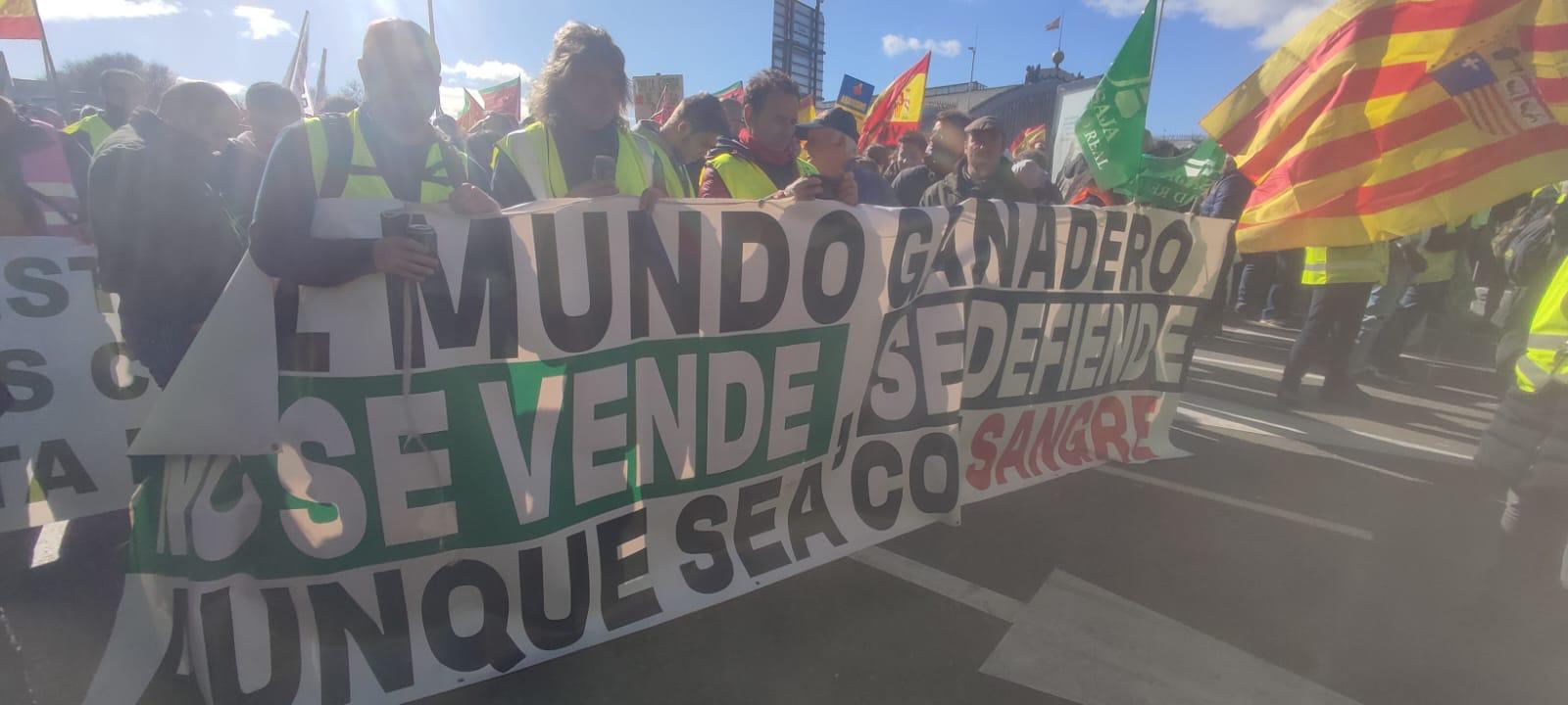 Así hemos contado la protesta de los agricultores en Madrid: más de 600 agricultores de Salamanca en la capital