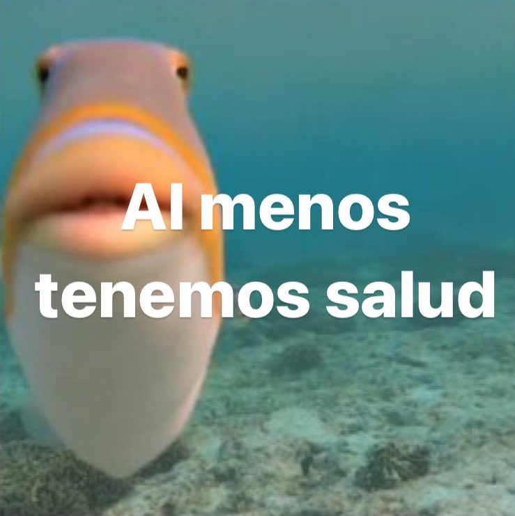 Así hemos contado el sorteo de la Lotería de Navidad 2023