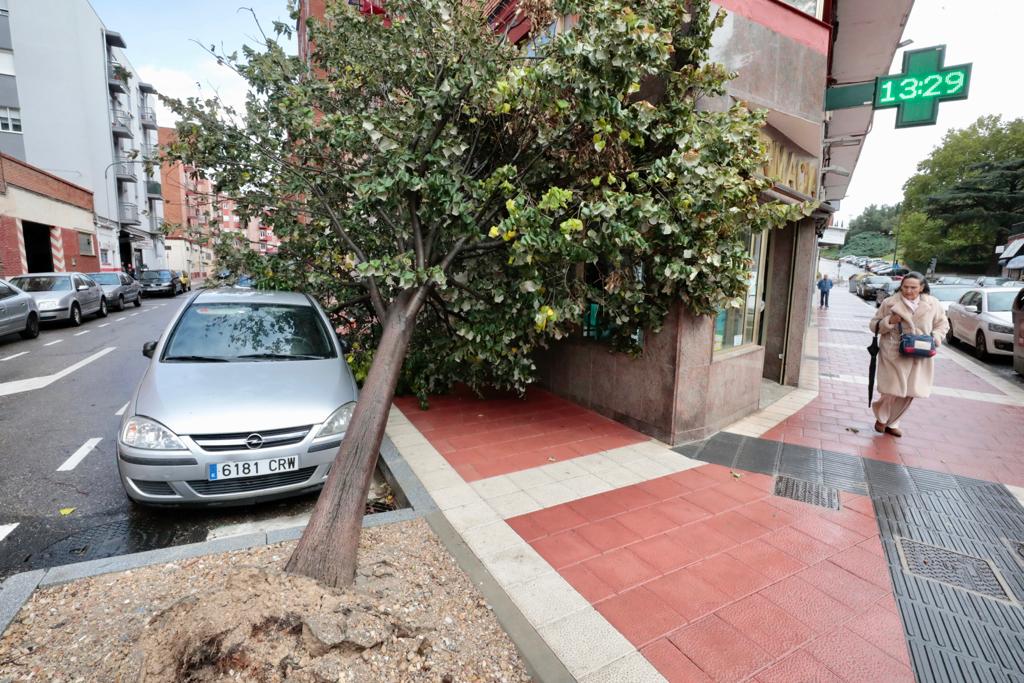 El Campo Grande de Valladolid permanecerá cerrado ante la amenaza del viento