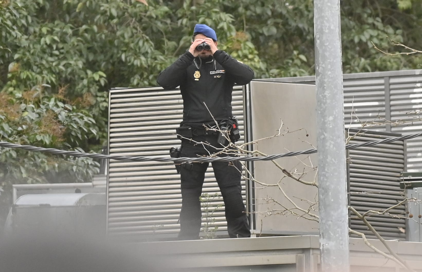 Así te hemos contado el acto conmemorativo del aniversario del Regimiento Farnesio nº12