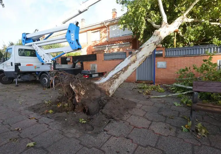 El Campo Grande de Valladolid permanecerá cerrado ante la amenaza del viento