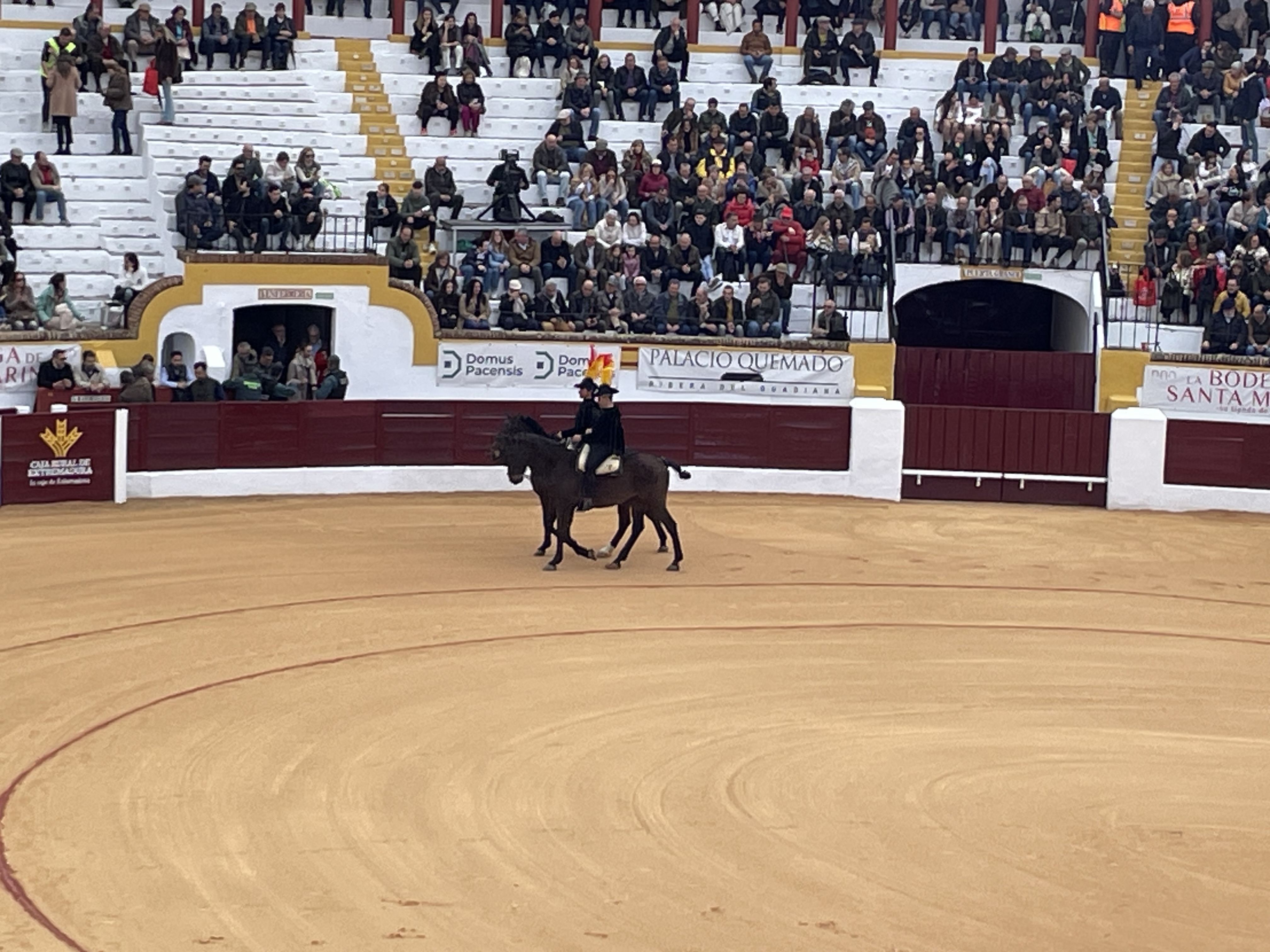 Así hemos narrado la novillada extremeña de la Feria de Olivenza