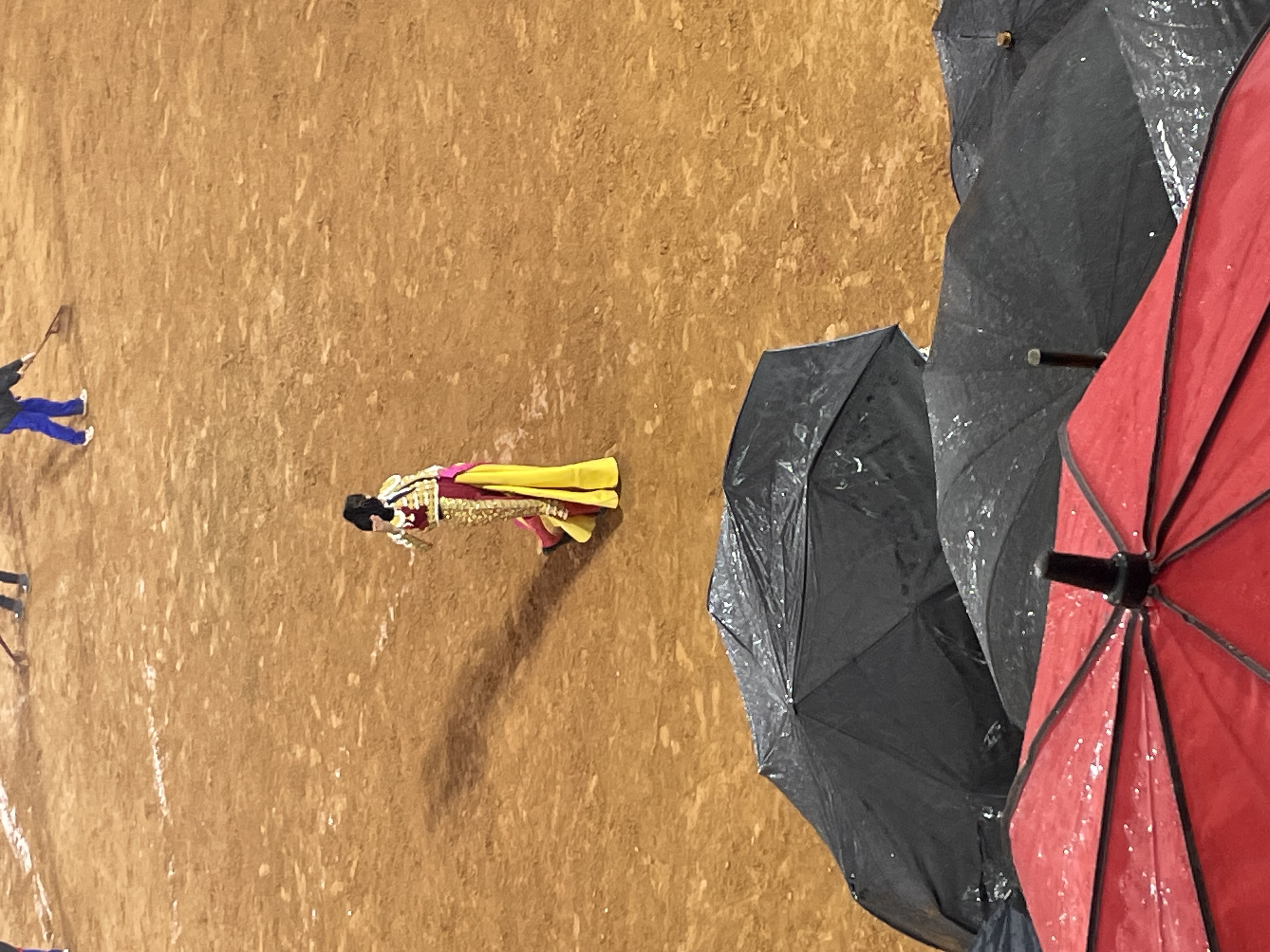 Así hemos contado la primera corrida de toros de la Feria de Olivenza