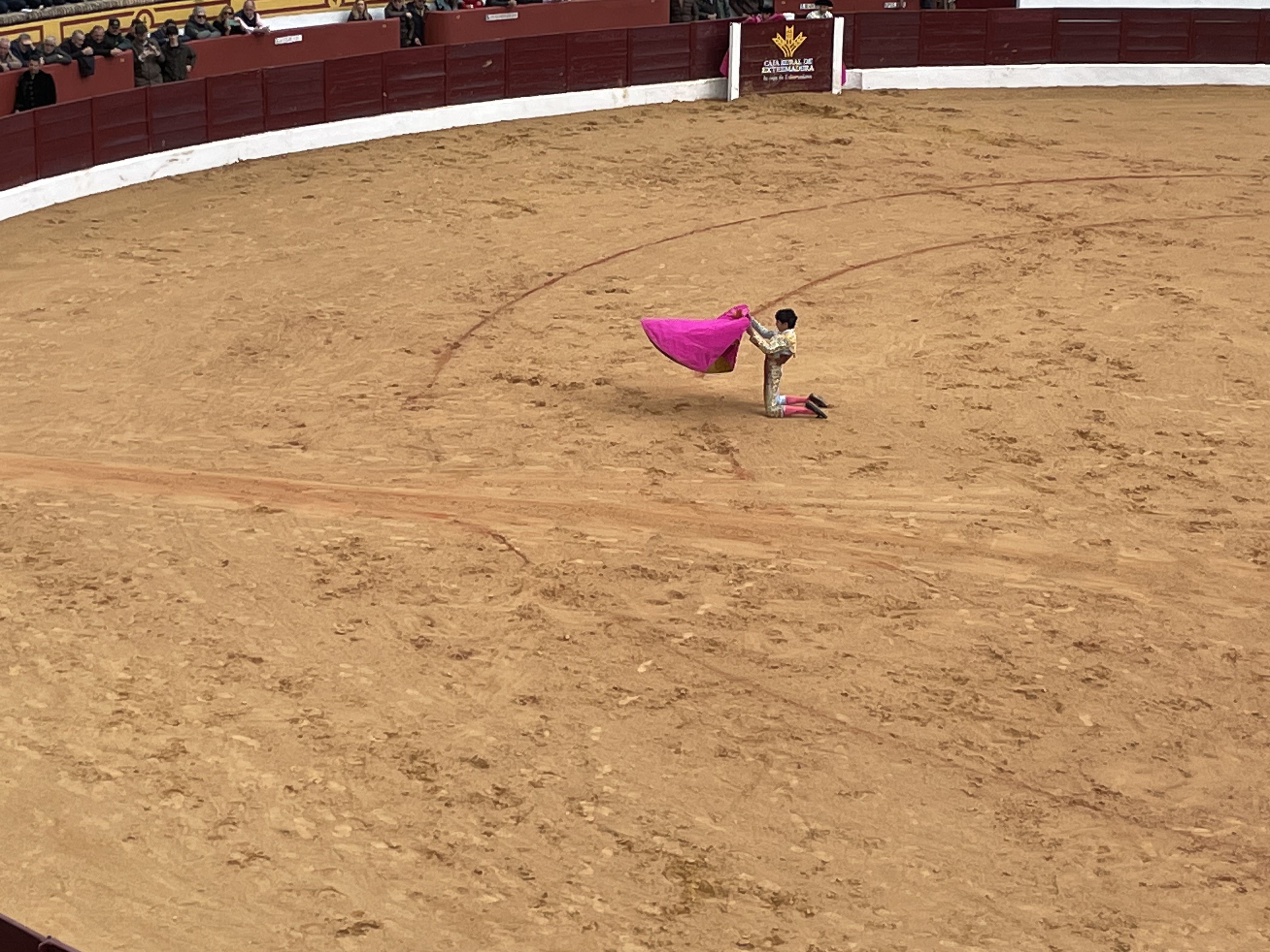 Así hemos contado la novillada del domingo en la Feria de Olivenza