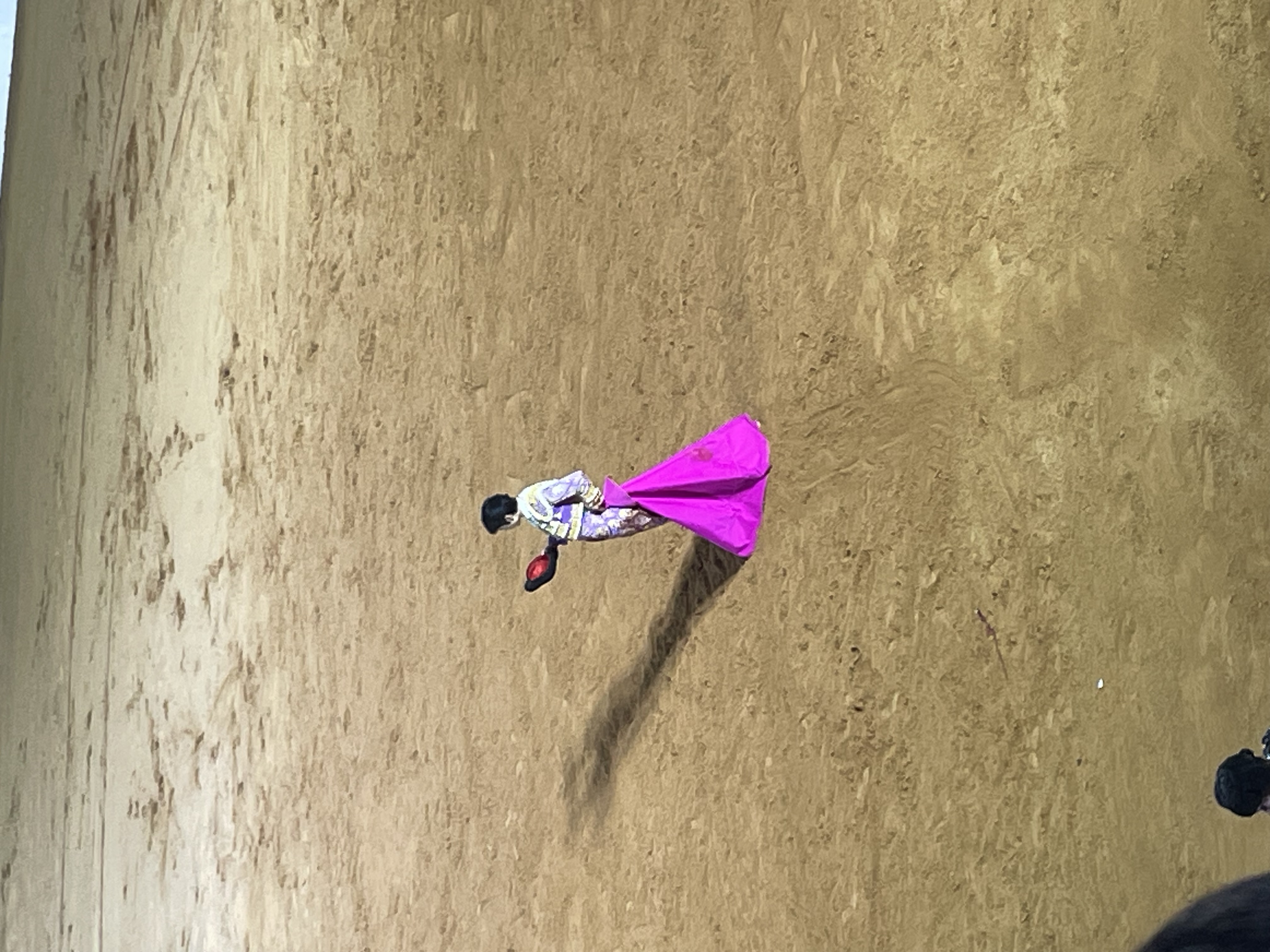 Así hemos narrado la novillada extremeña de la Feria de Olivenza