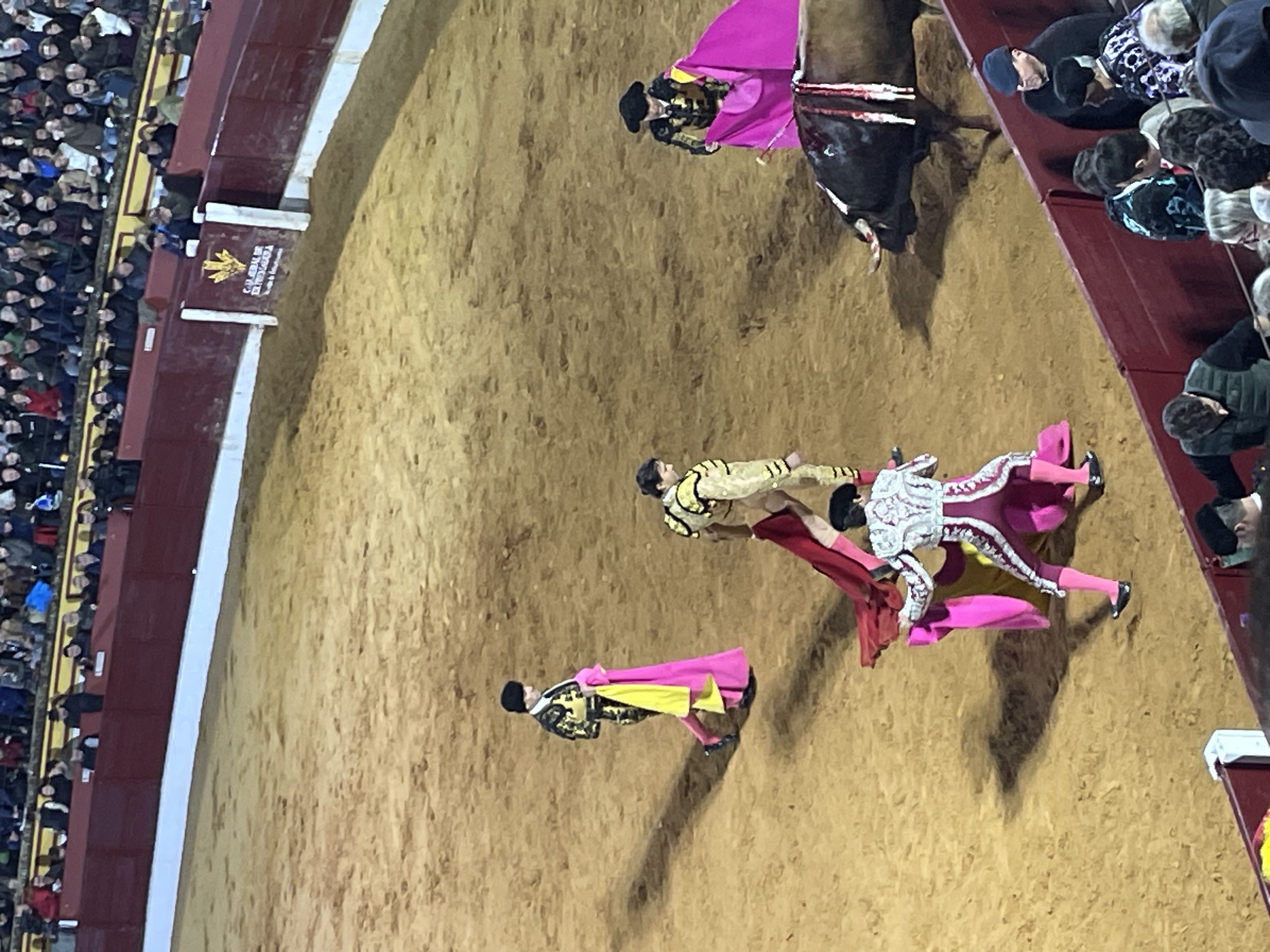 Así hemos narrado la segunda corrida de toros de la Feria de Olivenza