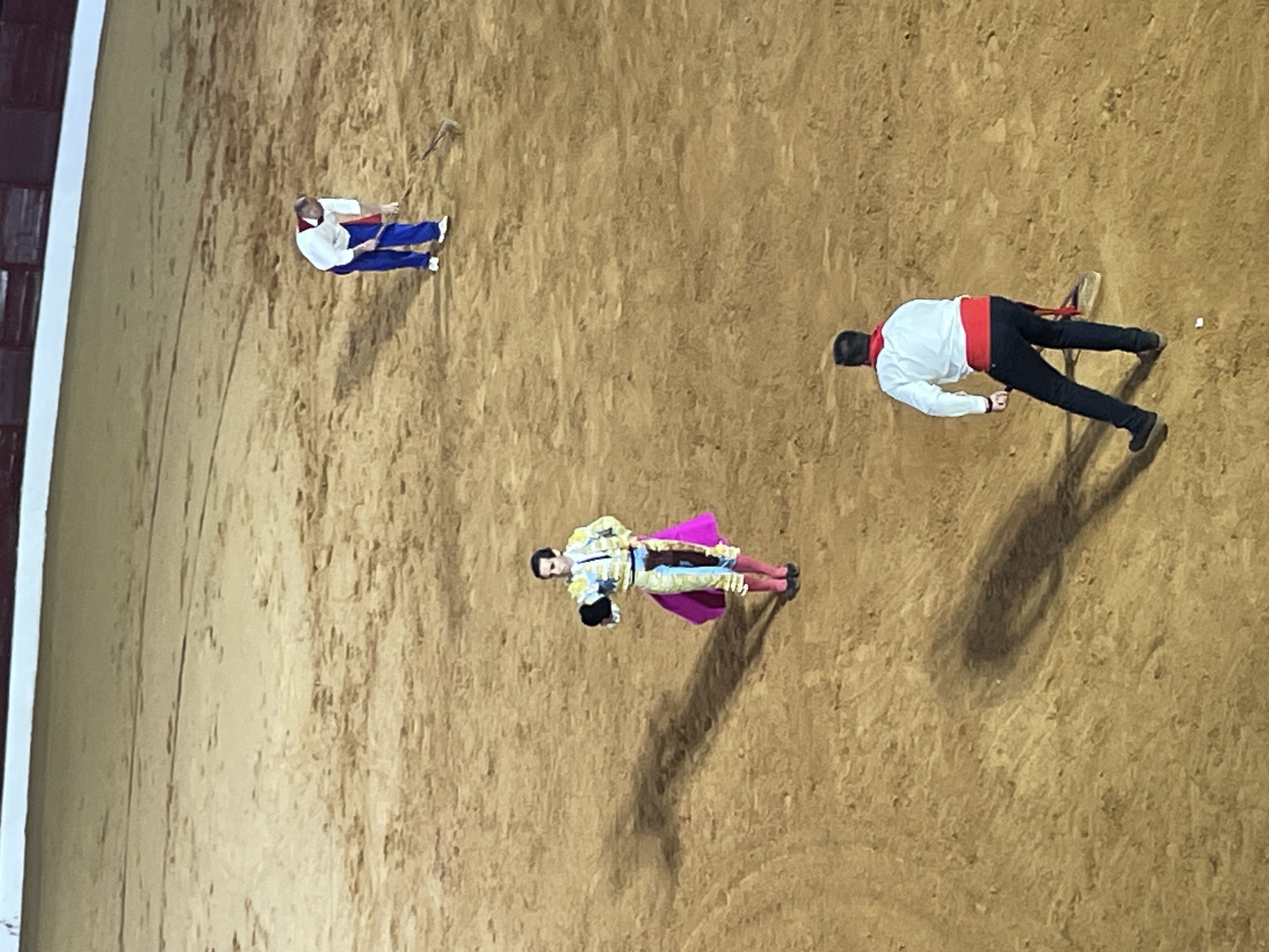 Así hemos narrado la segunda corrida de toros de la Feria de Olivenza
