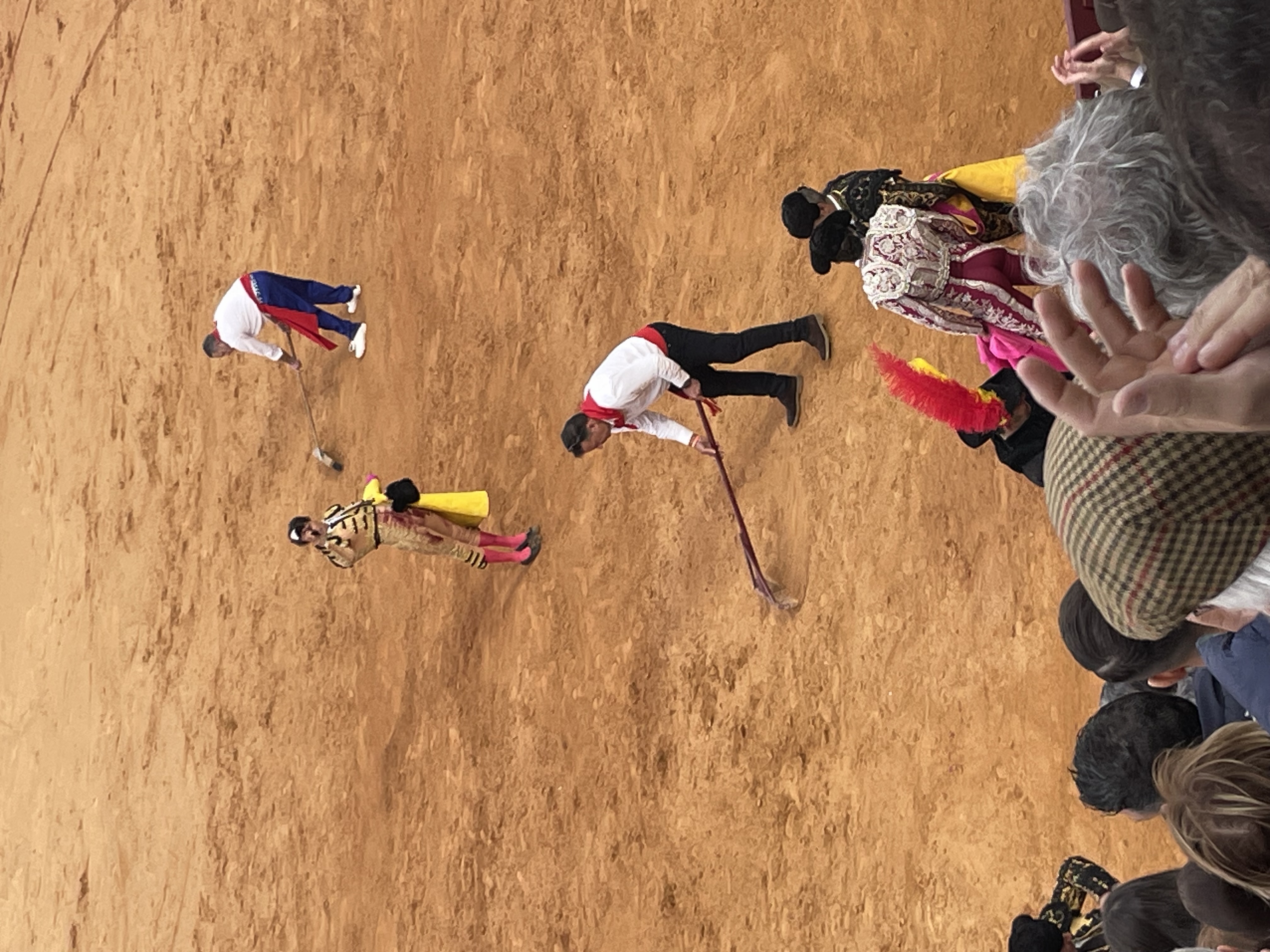 Así hemos narrado la segunda corrida de toros de la Feria de Olivenza