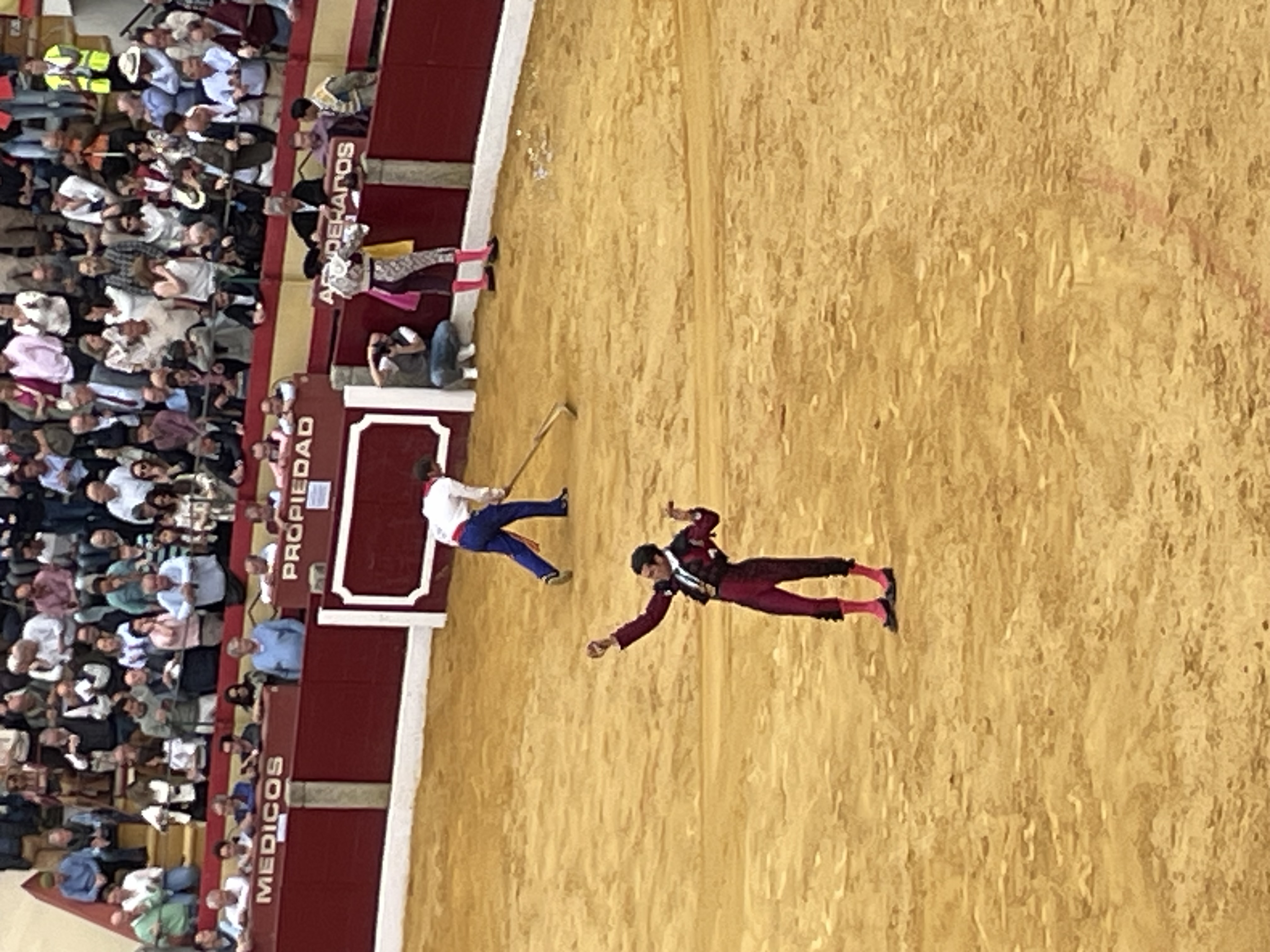 Así hemos narrado la corrida de toros en Almendralejo