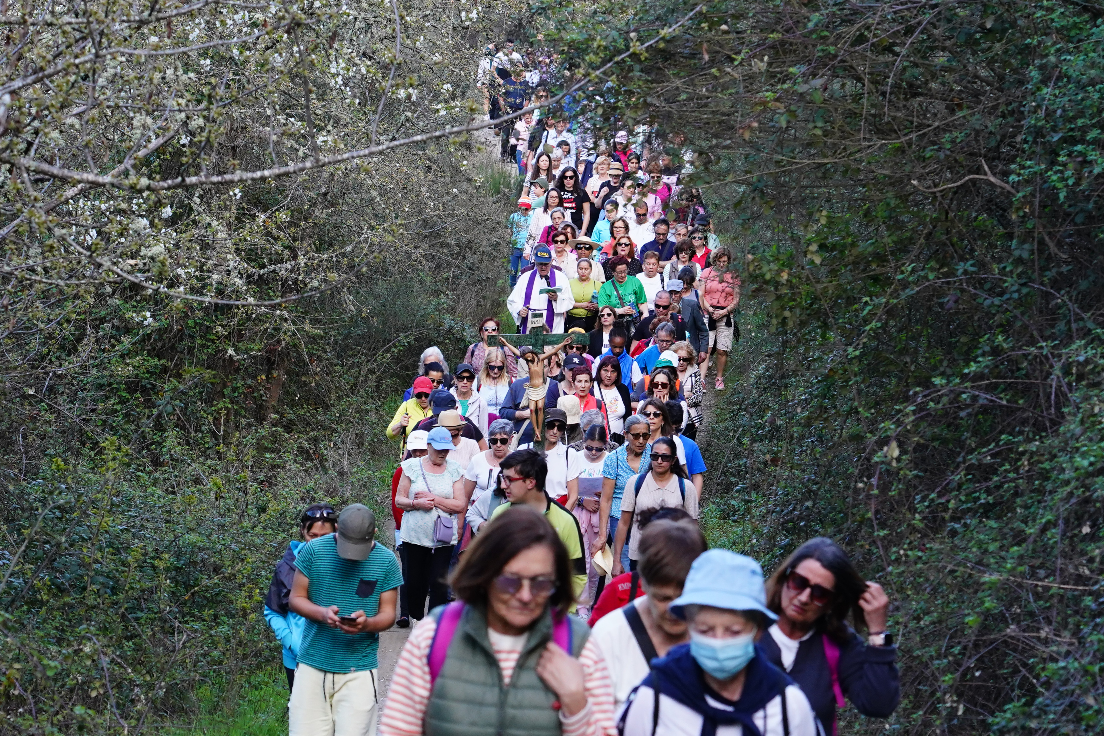 Así contamos en directo el Domingo de Ramos en León