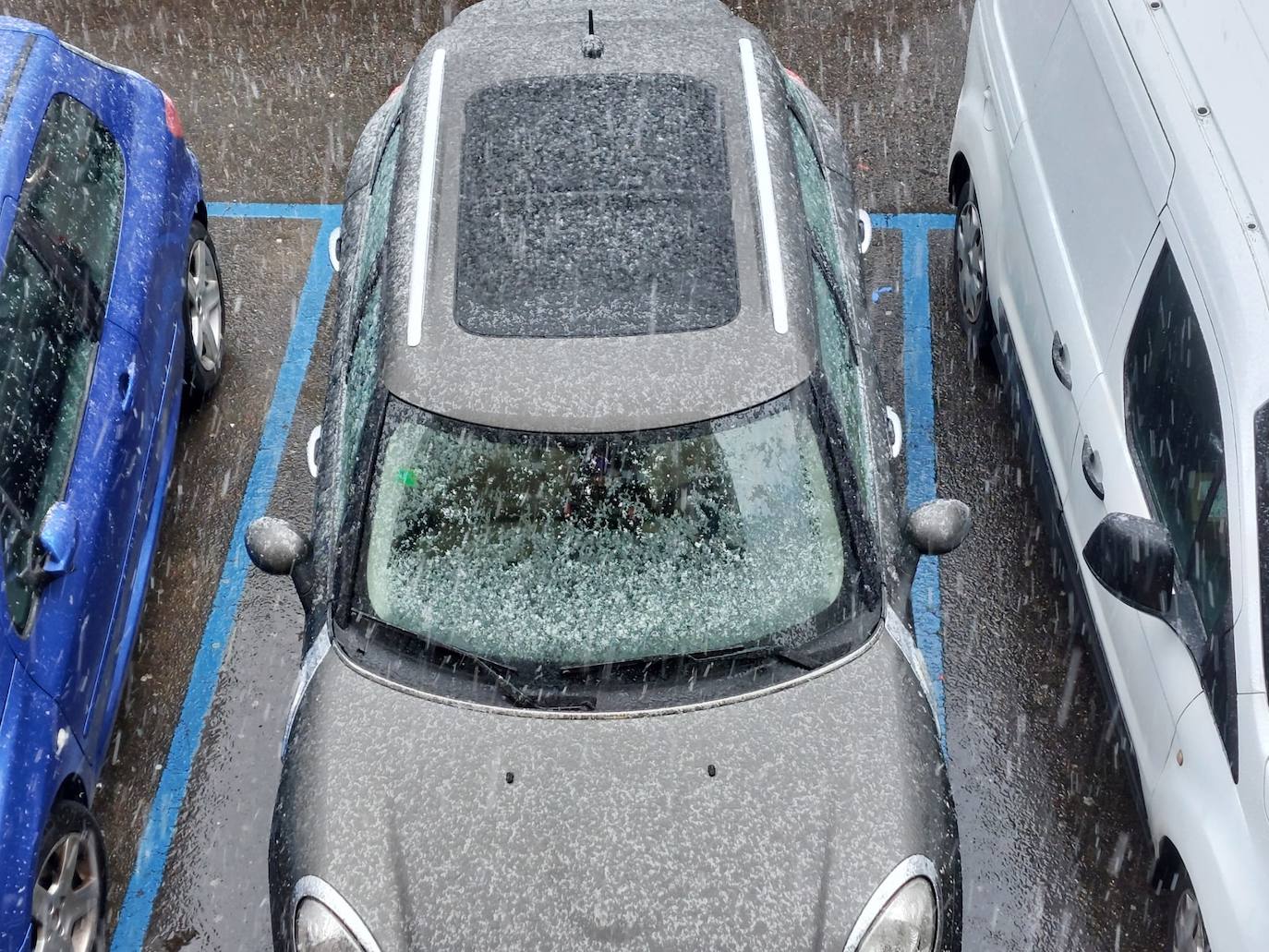 El temporal de nieve cubre de blanco la provincia de León