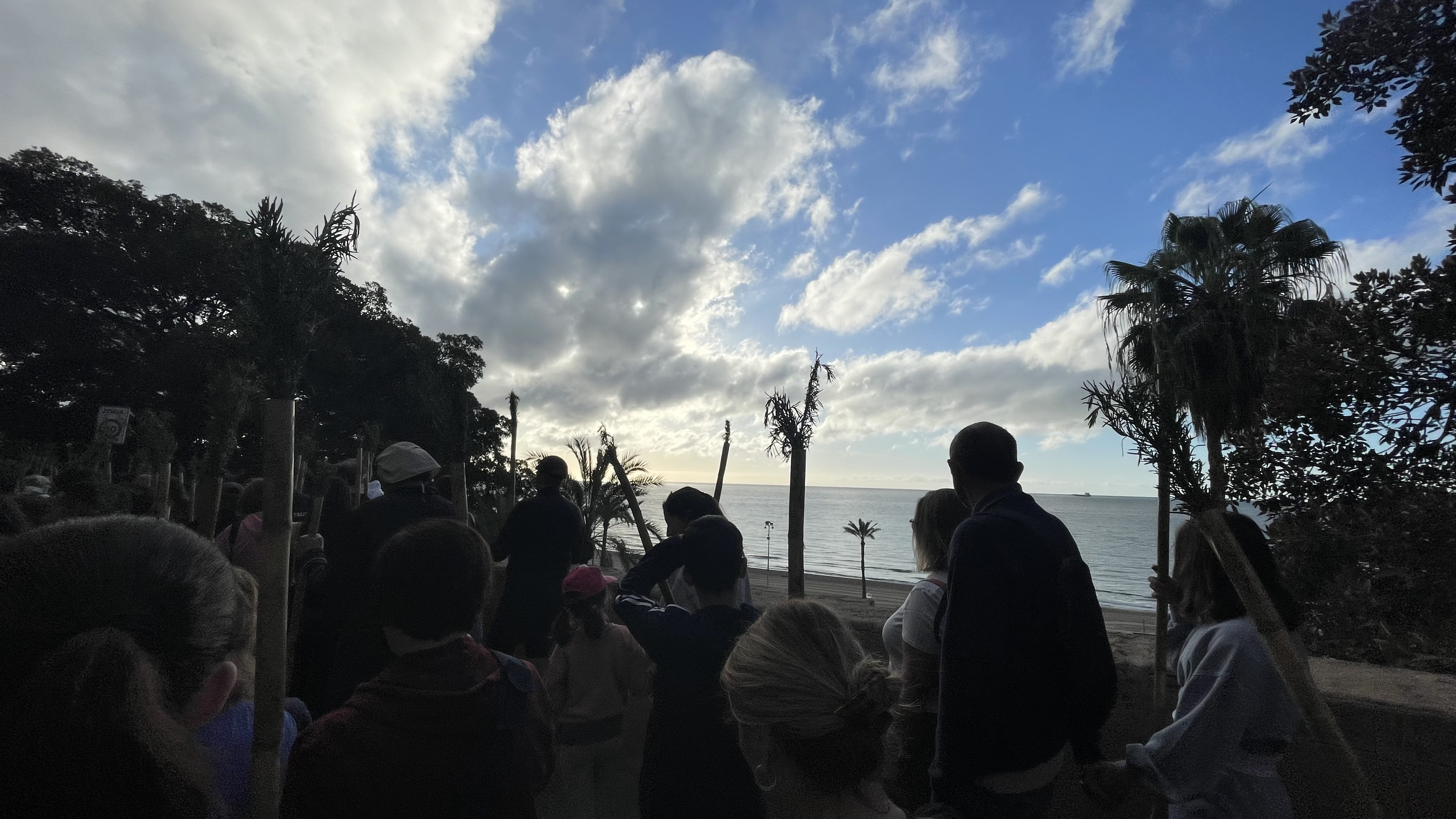 Así te hemos contado la Santa Faz 2024: Récord de participación con 330.000 peregrinos